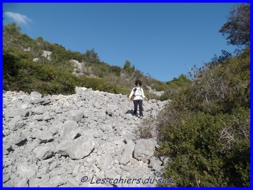 Le vallat des Brayes