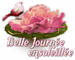 Cartonnettes Bébé d'Antan