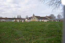 La randonnée du 26 janvier à Ifs : le Grand Tour de Caen 02