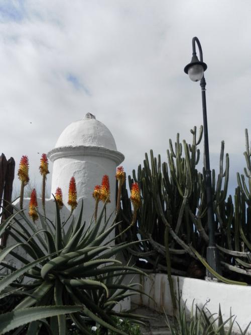 Puerto de la Cruz en janvier