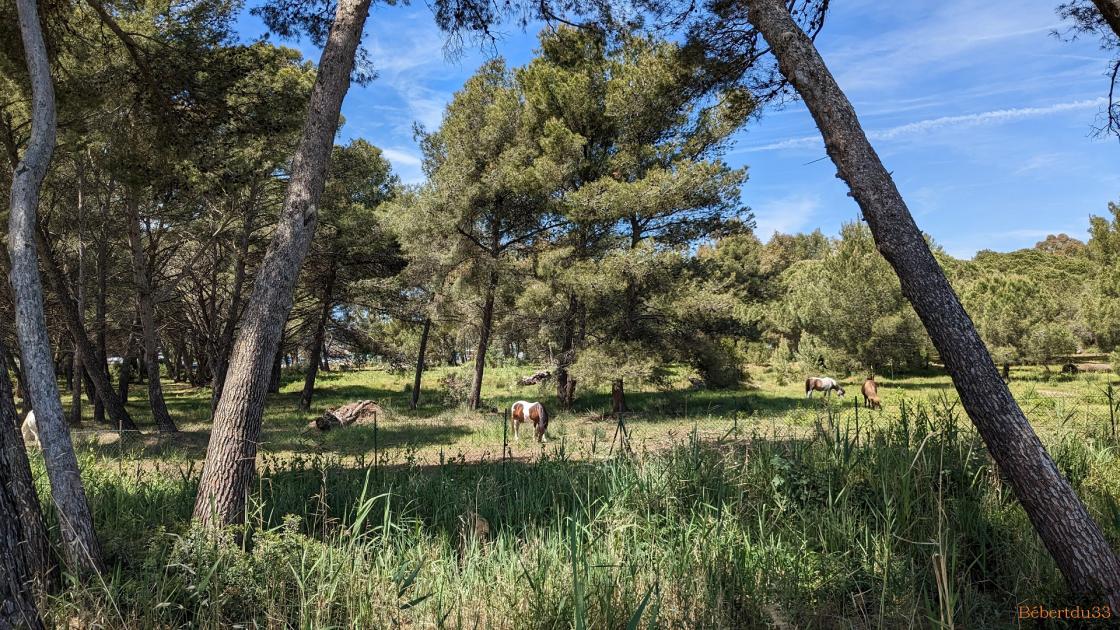 Suite pour aller à Hyères  -2