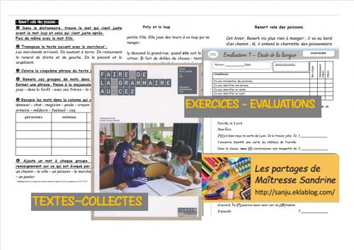Faire de la grammaire au CE2, Picot