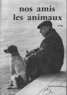 Le coucou du vendredi, haïku, senryû, thème "nos frères animaux"...
