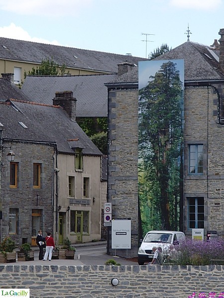 LA--GACILLY---2011-122.jpg