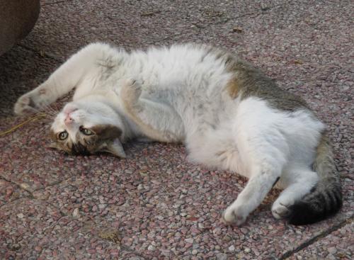 Balade dans le quartier du Panier à Marseille