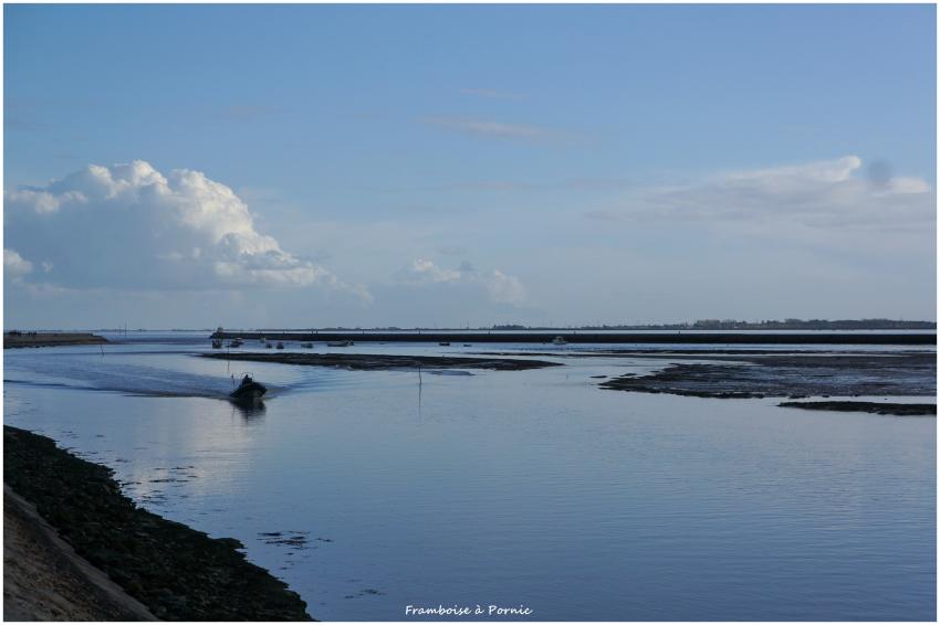 Réserve ornithologique Marais Mullembourg Noirmoutier en l' île 