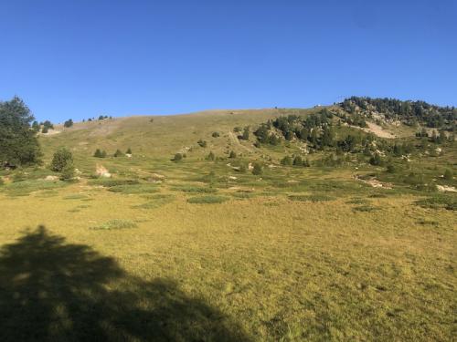 Sommet du Col Bas - Lac Noir 