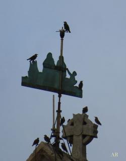 Sainte-Marie-la-Mer  - 1