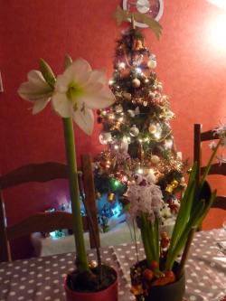 Joyeux Noël tout simplement 