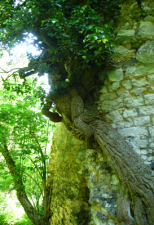 LES REMPARTS DE PONT-SAINT-PIERRE (Eure)