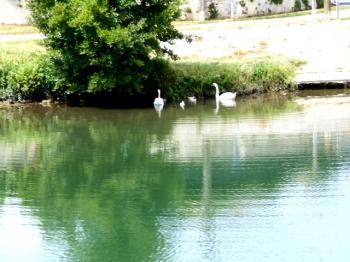 Saintes " une ville d'histoire " au bord du fleuve la  Charente ….." 3 "
