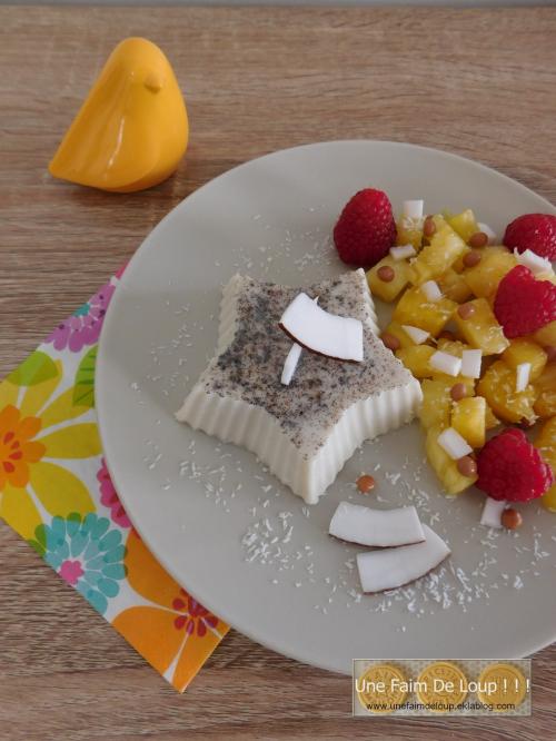 Blanc manger coco 