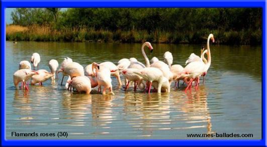 ╰⊱♥⊱╮ღ꧁   Département  30   ꧂ღ╭⊱♥≺