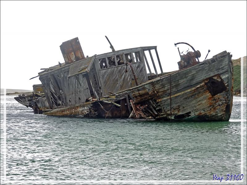 Dernier regard sur l'épave du Protector lll, triste vestige du passé meurtrier pour les mammifères marins - South Harbour - New Island - Falkland (Malvinas, Malouines) - Grande-Bretagne