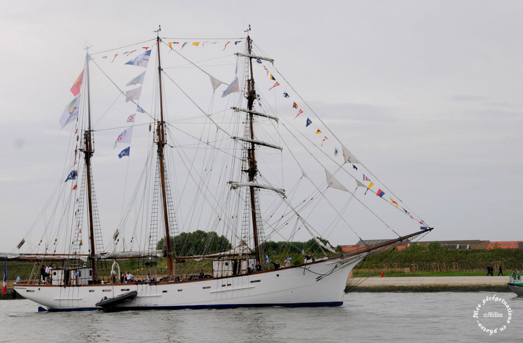 L'Armada des Voiliers et des hommes - ROUEN (19)