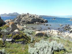 Promenades dans les environs immédiats