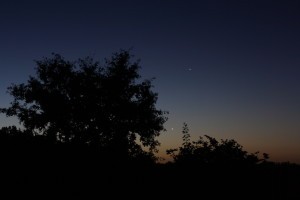JupiterLuneAube.jpg
