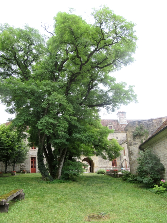 Le propriétaire du château de Blaisy Haut nous a fait découvrir la magnifique restauration d'un bâtiment historique qu'il a acquis en 1975