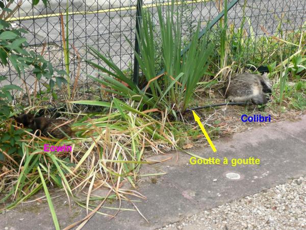 Eté 2015, recherche de fraîcheur