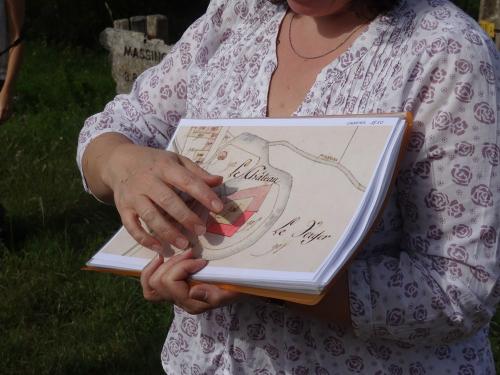 Une belle balade à Chaumont le bois et Vannaire, guidée par Anne Bouhélier