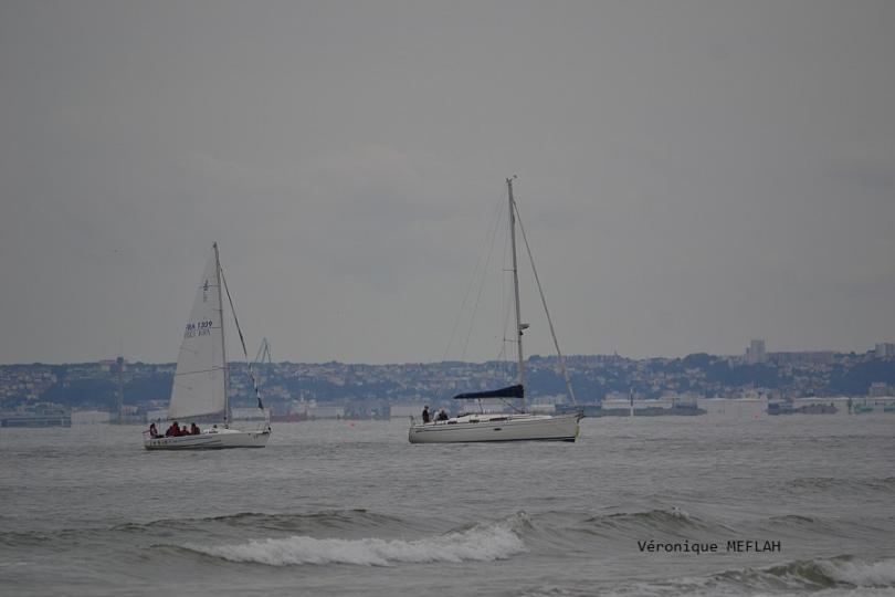 Calvados : été 2018 : Trouville-sur-Mer : Les voiliers