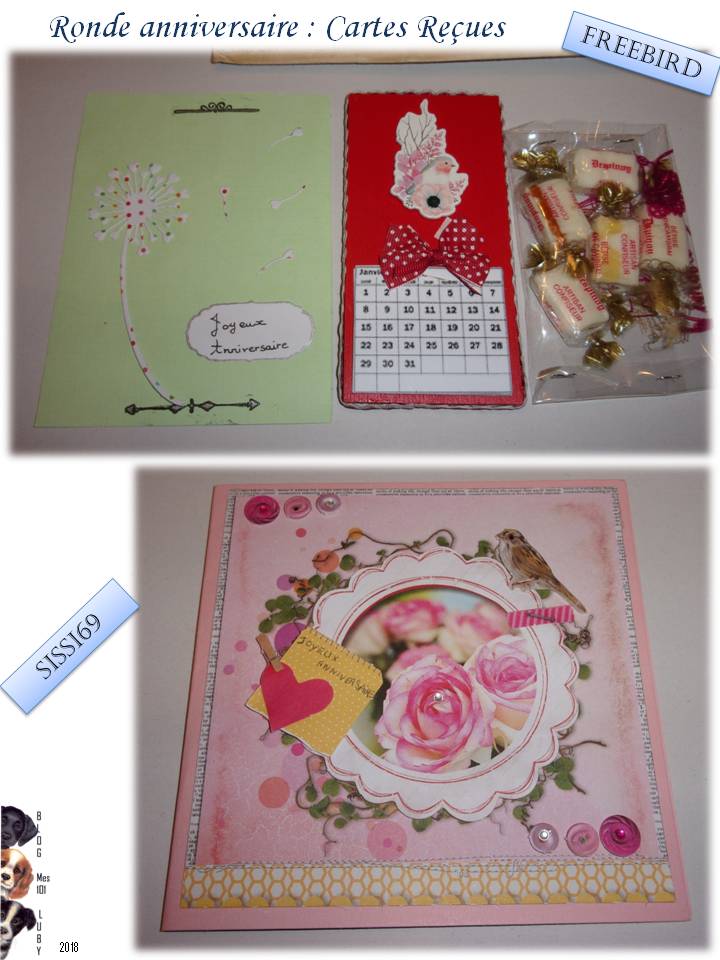 Pleins pleins cartes pour mon anniversaire