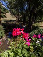 Lundi, en une, deux, trois, quatre ou plus en photos .... 