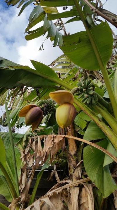   Rolande, Magali,Gégé13                    : leurs réalisations