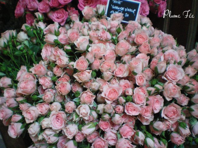 Image57.jpg
