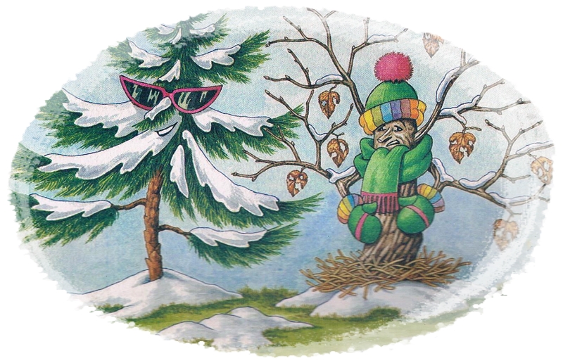 "Les plantes ont-elles froid ? "