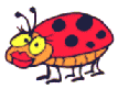 LE VRAC'INFOS de la semaine !