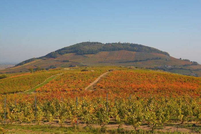 Département du Rhône