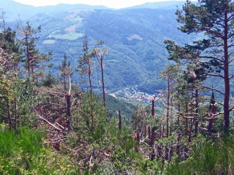 Sur les hauteurs d'une vallée âpre - Le Tour du Vallespir - Etape 3 : Saint-Guillem - Prats-de-Mollo  15 kms.