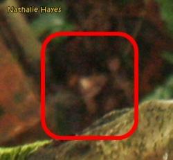 La Page de Nathalie Hayes