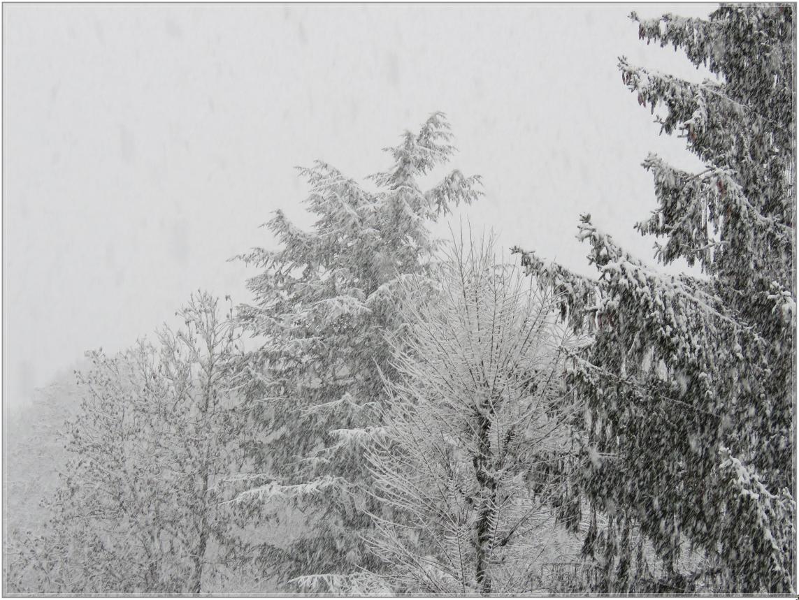 UN TEMPS DE SAISON JANVIER 23