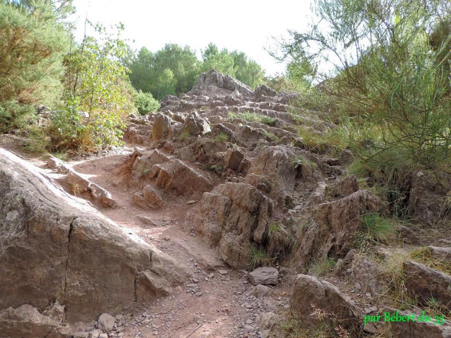 Broceliande - le val sans retour (35) - 2