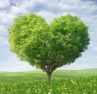 L'amour de la nature ...