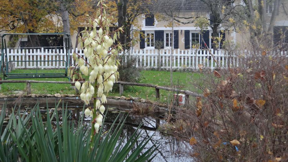 C'est le Mois de Décembre !!