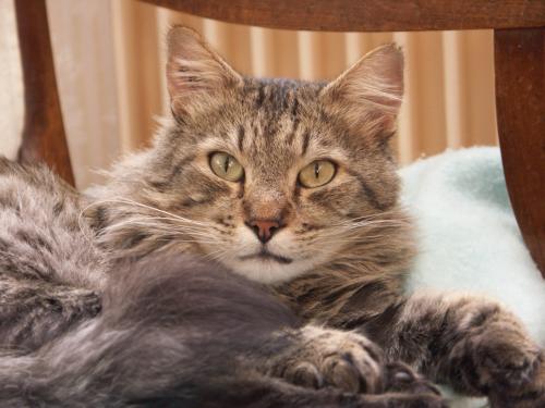 Merci Colibri, merci pour tout ...