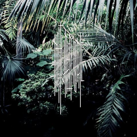 NATURE MORTE - Un extrait du premier album dévoilé