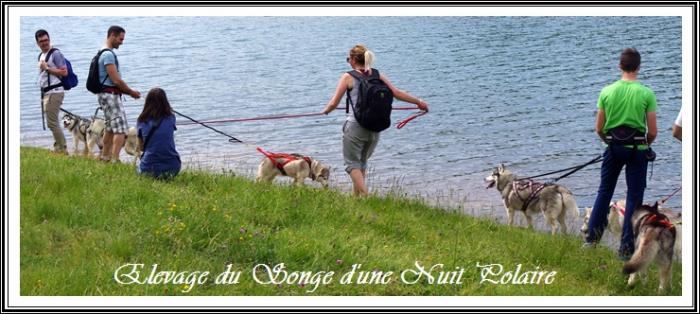 Rencontre Songe d'une Nuit Polaire (9 juin 2019)