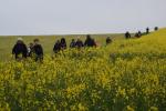 La randonnée du 16 avril à Goupillières