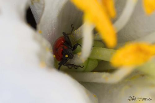 _Hé hé, me voilà dans la place...