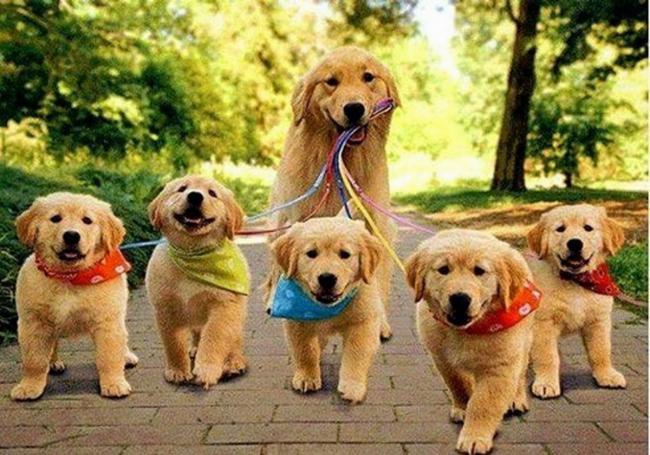 Moments de tendresse ... !!!