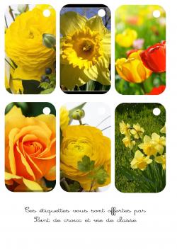 Cartonnettes fleurs à imprimer