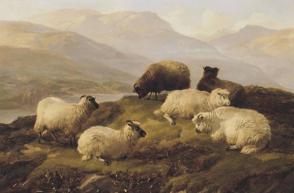 Peinture de :Thomas Sidney Cooper 