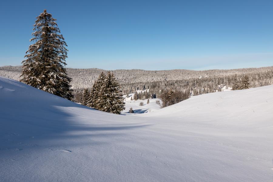 Jura