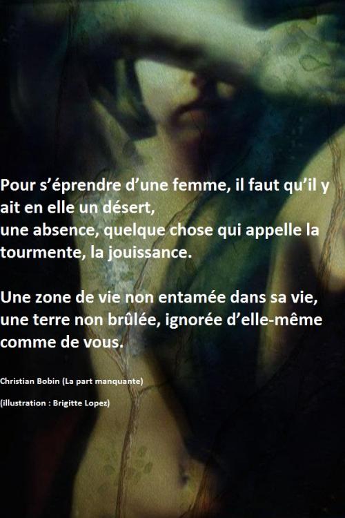 Un regard sur les femmes