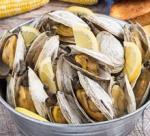 Recup coduillage de mer