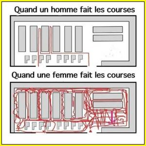 ღ꧁ღ╭⊱ꕥ Avec Humour ! ꕥ⊱╮ღ꧂ღ